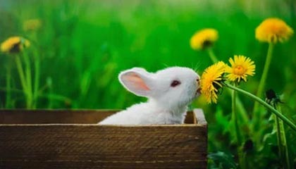 怒江2026年最新北京商务伴游经纪招聘渠道分享(最方便真实的怒江北京爱特博旅运服务有限责任公司招聘方法)